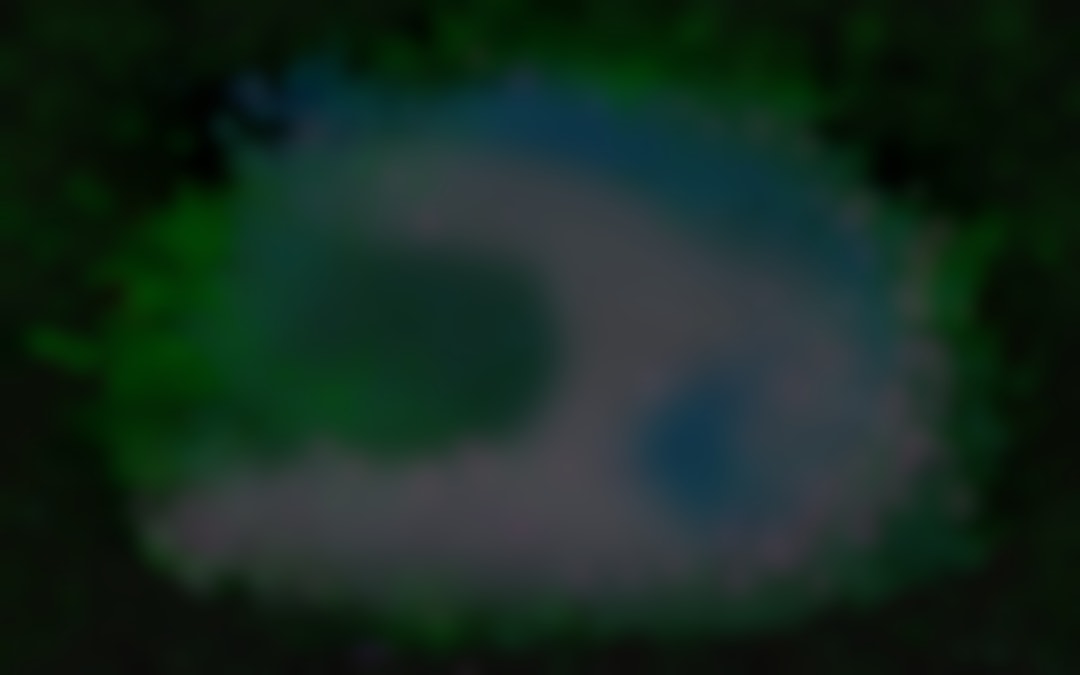 Pixies of the forest game Pixies of the forest game