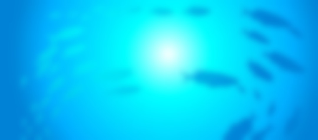 Mermaid Millions Online Casino Mermaid Millions Online Casino