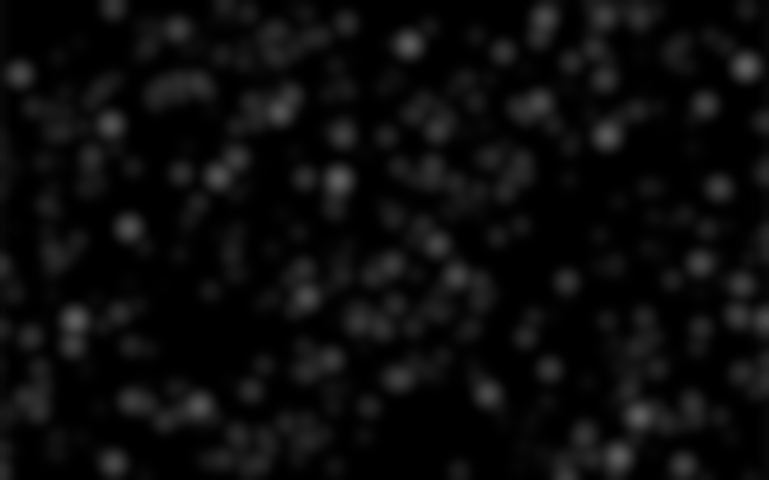 Rick And Morty Casino Rick And Morty Casino