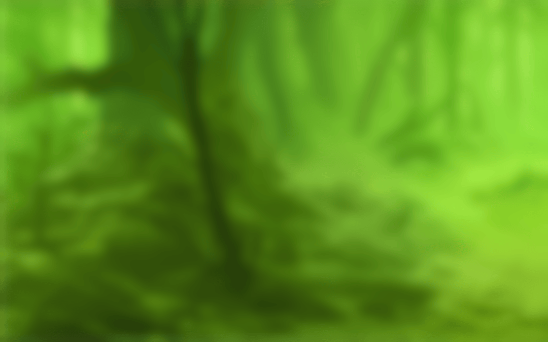 Gorilla Casino Login Gorilla Casino Login