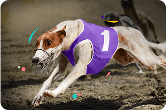 Virtual Sports Landing Page: Carousel Image 1