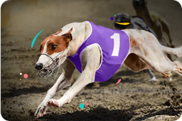 Virtual Sports Landing Page: Carousel Image 1